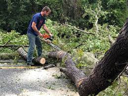 Best Lawn Grading and Leveling  in Oyster Creek, TX